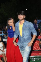 Seethamma Andaalu Raamayya Sithraalu Platinum Disc Function